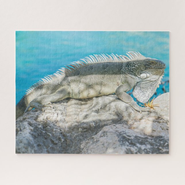 Puzzle Iguana bronzer sur Beach Rock (Horizontal)