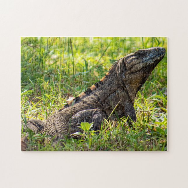 Puzzle Iguana déclenché (Horizontal)