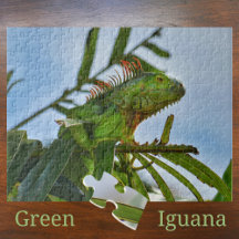 Iguana verte dans un palmier photo Jigsaw Pu
