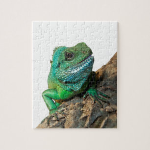 Puzzle Iguane vert