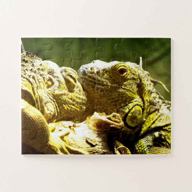 Puzzle Iguanes (Horizontal)