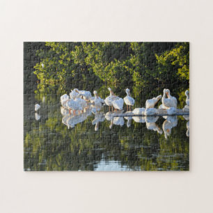 Puzzle Île de Sanibel Floride.