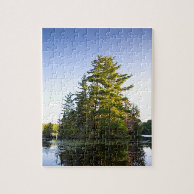 Puzzle Île sur le lac Long Pond (Vertical)