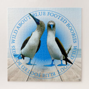 Puzzle Îles Galapagos Oiseaux de fond aux pieds bleus