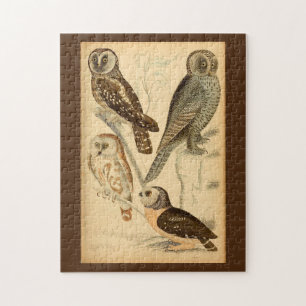 Puzzle Illustration Chouettes