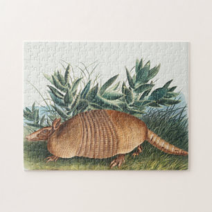 Puzzle Illustration d'Armadillo Vintage