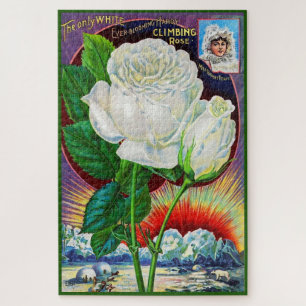 Puzzle illustration de catalogue de roses des années 1890