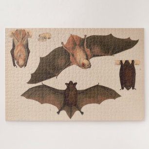 Puzzle Illustration de chauve-souris volante vintage (187