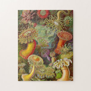 Puzzle Illustration de cru d'actinies