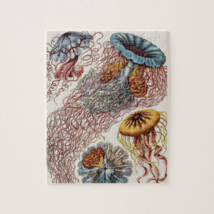Puzzle Illustration de la vie marine - Ernst Haeckel