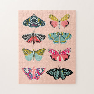 Puzzle Illustration de l'étude de la papillon de nuit no 