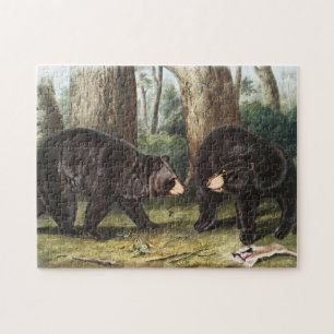 Puzzle Illustration de l'ours noir américain Ursus Americ
