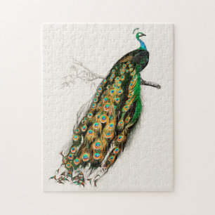 Puzzle Illustration de paon Impression d'art vintage