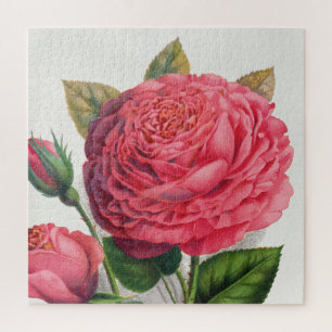 Puzzle Illustration de rose rose vintage