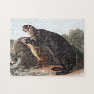 Puzzle Illustration de Sea Otter (Marina Enhydra)