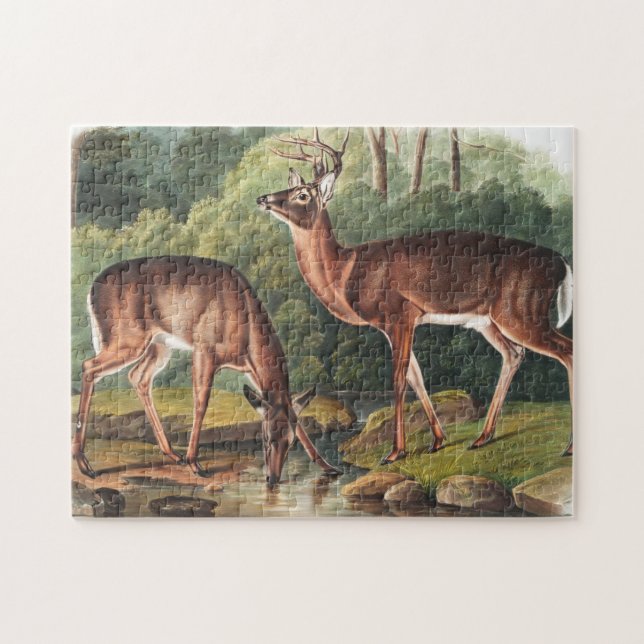 Puzzle Illustration de Virginian Deer (Cervus Virginianus (Horizontal)