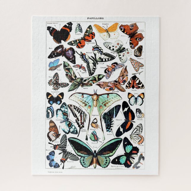 Puzzle Illustration des papillons Vintages (Vertical)