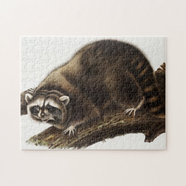 Puzzle Illustration du raton laveur (Procyon lotor) (Horizontal)