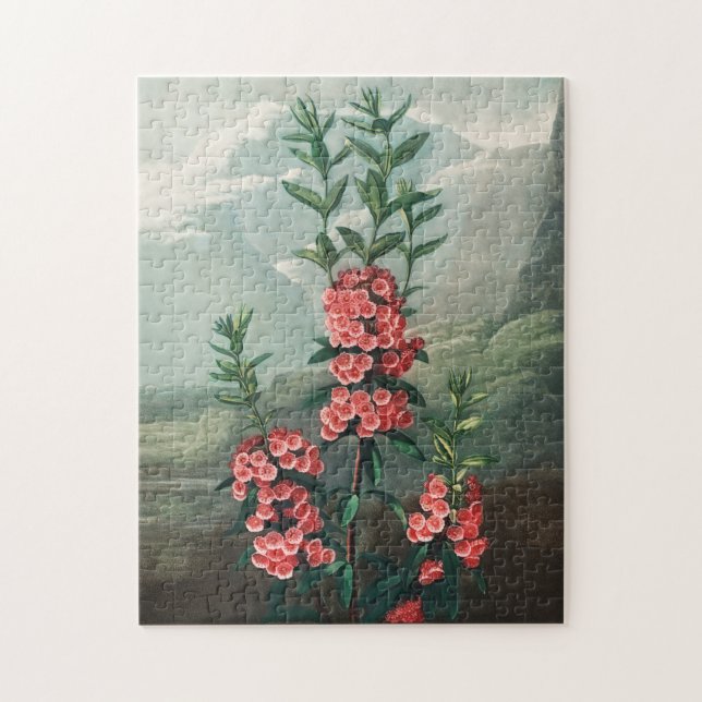 Puzzle Illustration vintage (Vertical)