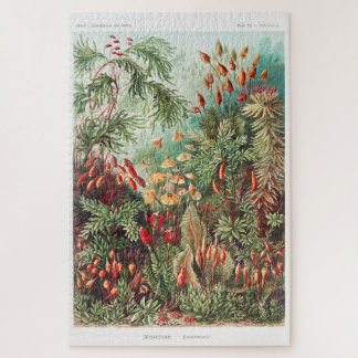 Puzzle Illustration Vintage artistique Nature Ernst Haeck
