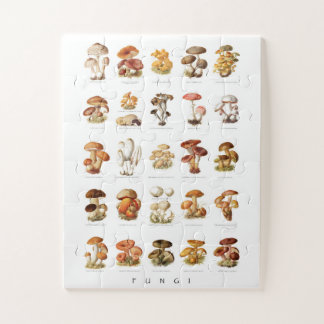 Puzzle Illustration vintage champignons comestibles non c