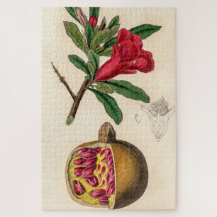 Puzzle Illustration vintage de grenade