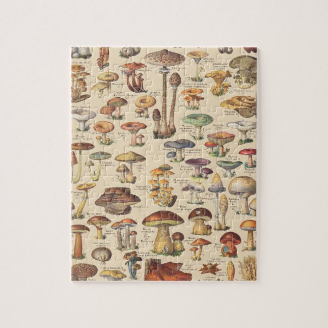 Puzzle Illustration vintage des champignons (Vertical)