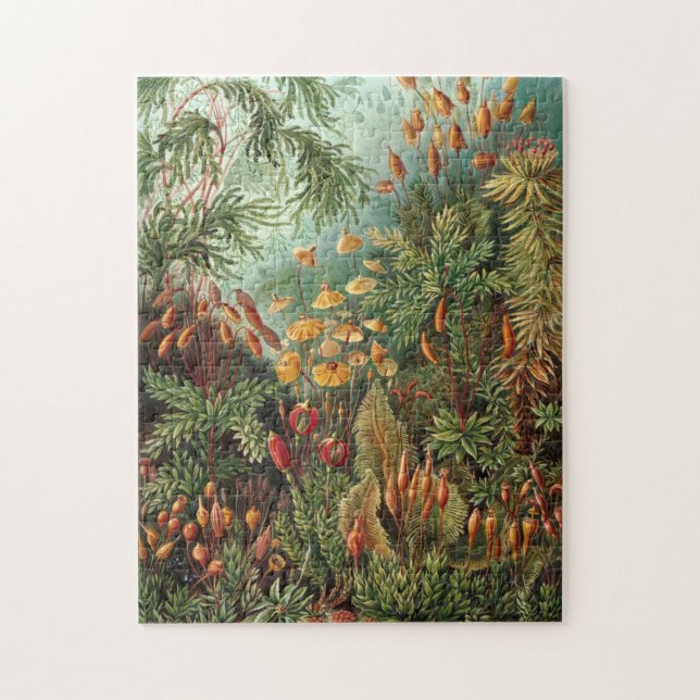 Puzzle Illustration vintage des plantes/champignons (Vertical)