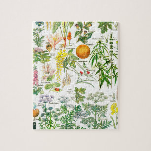 Puzzle Illustrations botaniques