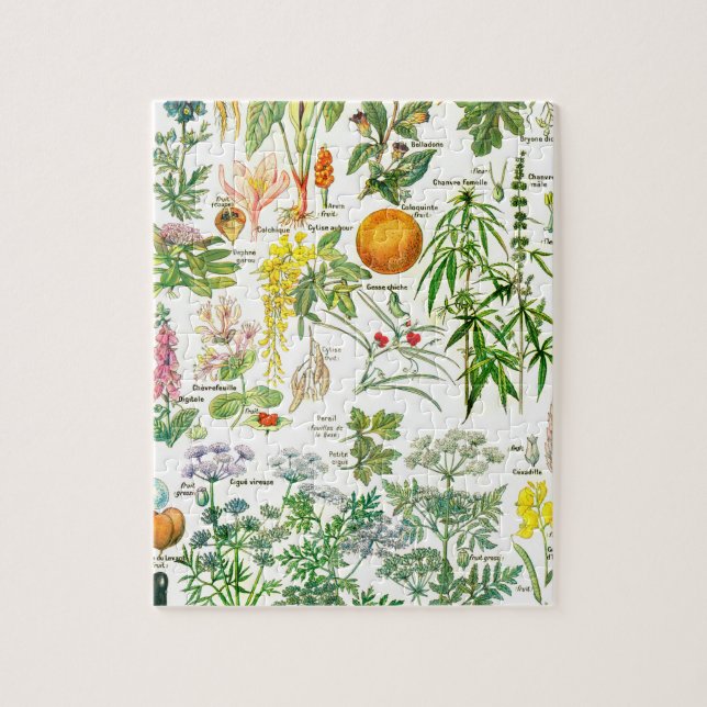 Puzzle Illustrations botaniques (Vertical)