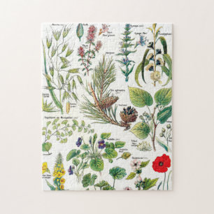 Puzzle Illustrations botaniques