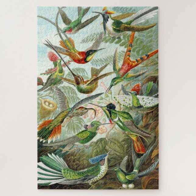 Puzzle Illustrations de colibri, 1899, Ernst Haeckel, (Vertical)