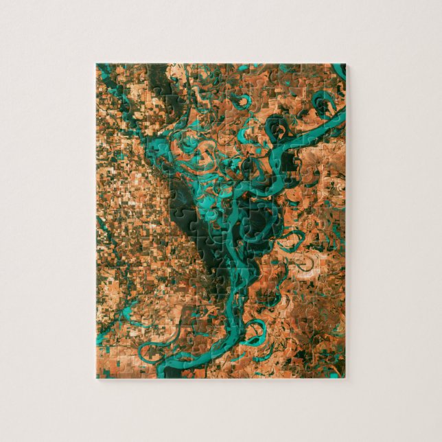 Puzzle Image de méandre de satellite du Mississippi (Vertical)