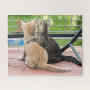 Puzzle Images de Getty deux chatons sur un balcon