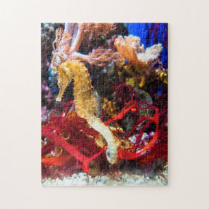 Puzzle Imaginaire Seahorse