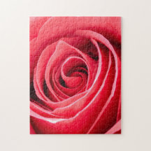 Puzzle impossible - Macro Rose