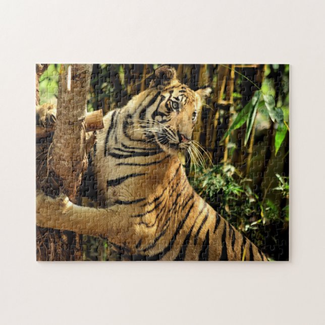 Puzzle Impossible - Tigre de la Jungle (Horizontal)