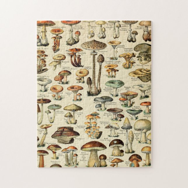 Puzzle Impression champignons vintages (Vertical)
