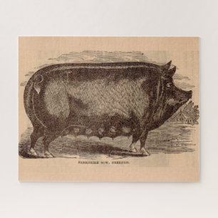 Puzzle Impression de porc du 19e siècle Berkshire semé no