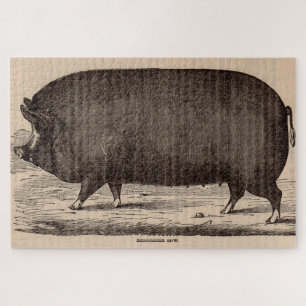 Puzzle Impression de porc du 19e siècle Berkshire semé no