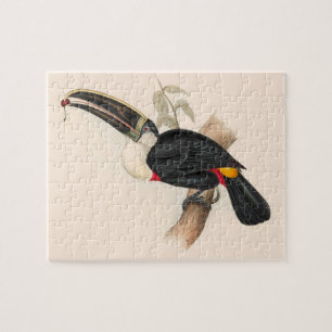 Puzzle Impression du Toucan de Cuvier : Oiseau Tropical V