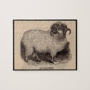Puzzle Imprimerie du 19e siècle moutons des Highlands