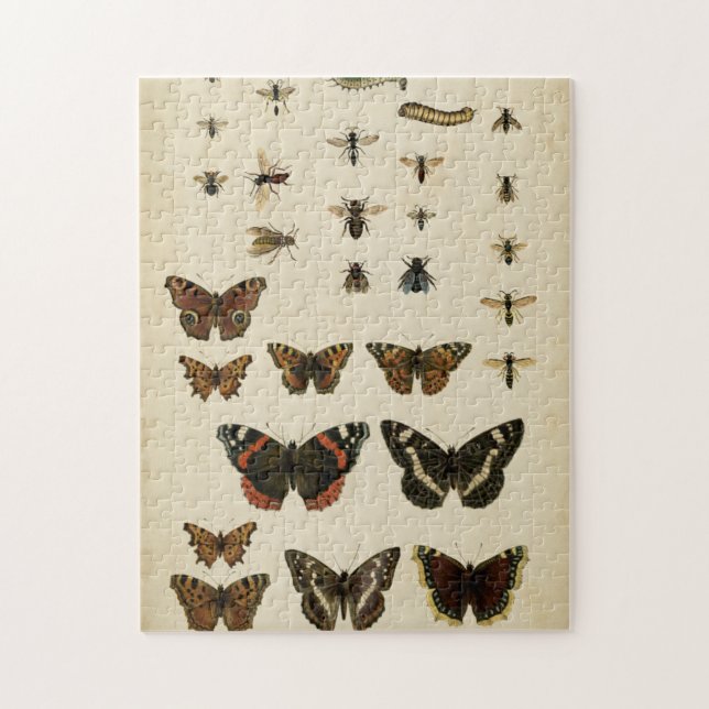 Puzzle Insectes de jardin par Vision Studio (Vertical)