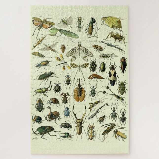 Puzzle Insectes vintages (Vertical)