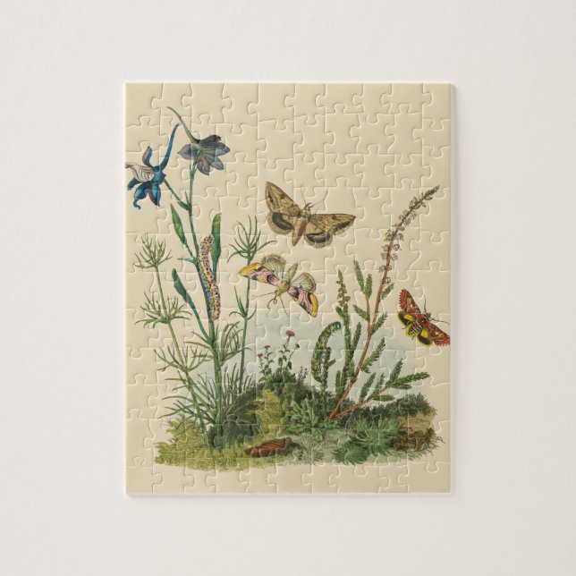 Puzzle Insectes vintages, Papillons, Caterpillar (Vertical)