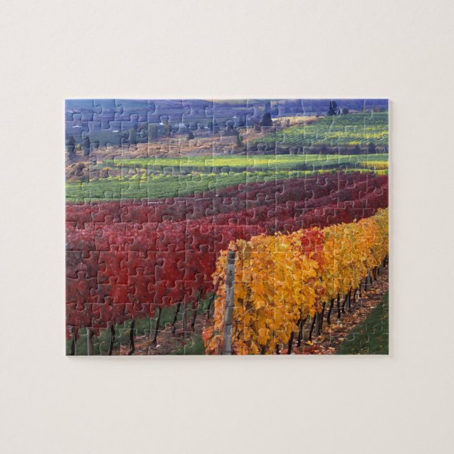 Puzzle Intense couleur rouge et jaune sur Gehring (Horizontal)