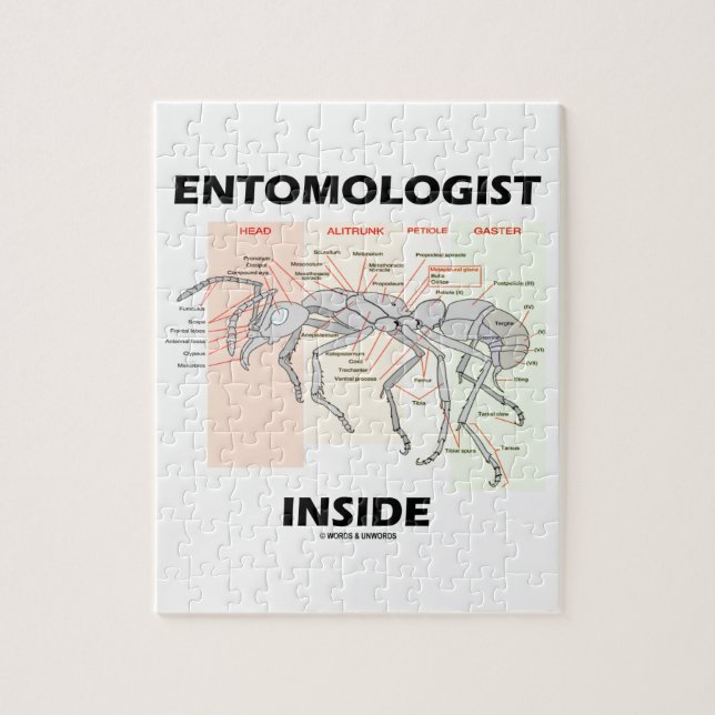 Puzzle Intérieur d'entomologiste (anatomie de fourmi de (Vertical)
