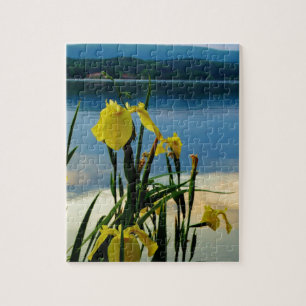Puzzle Iris jaune à Lake Shore