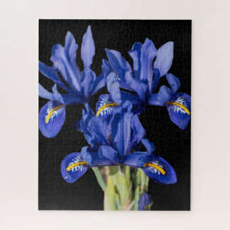 Puzzle Iris Jigsaw