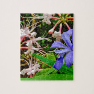 Puzzle Iris Nain Crêché